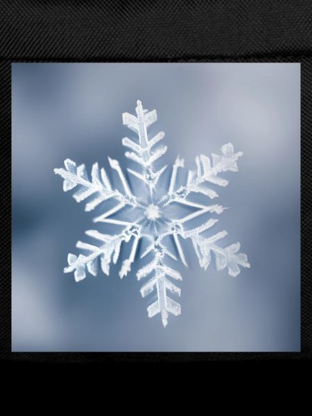 Winter snowflake portrait