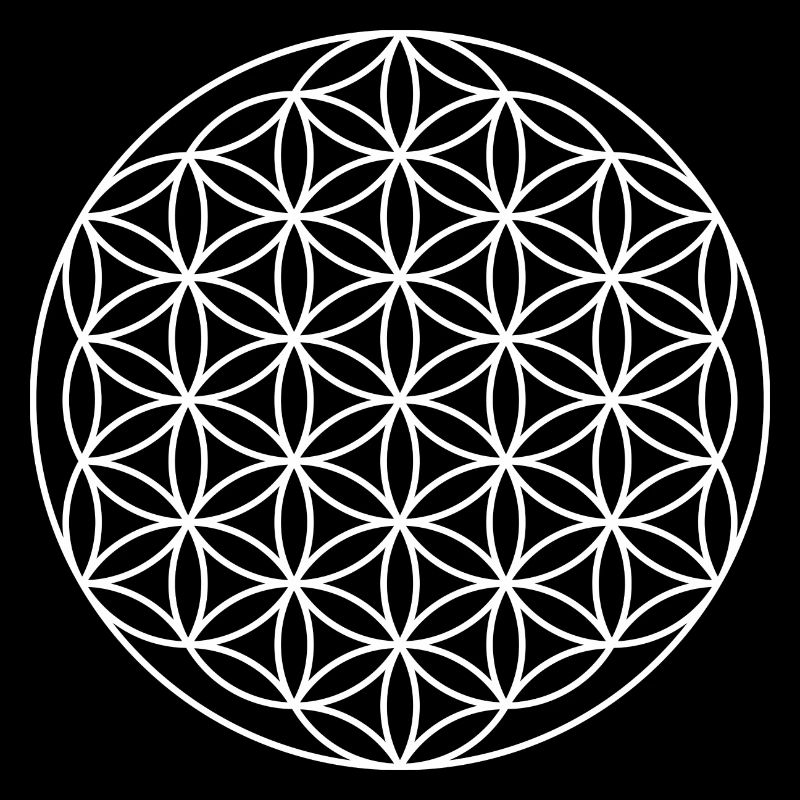 Blume des Lebens Symbol