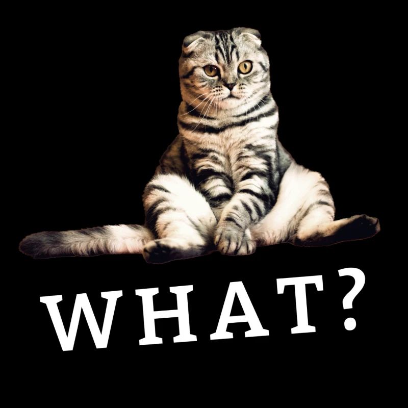 Cat – What?