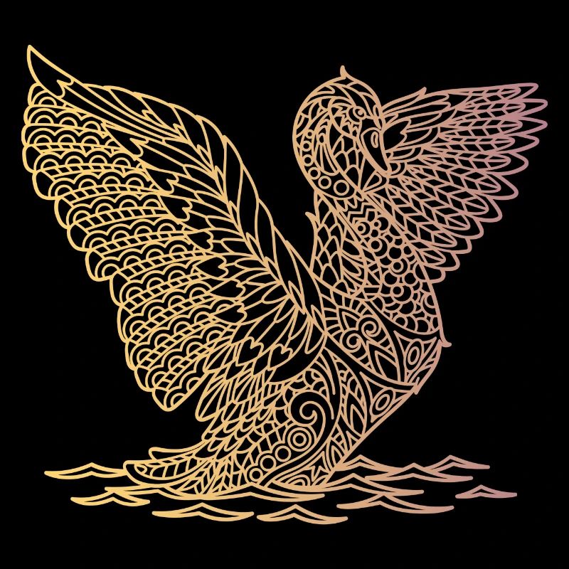 landing swan