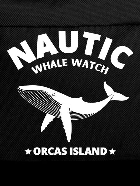 whale, orca, blue whale, whale