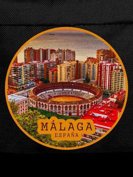 Malaga Bullring Panorama