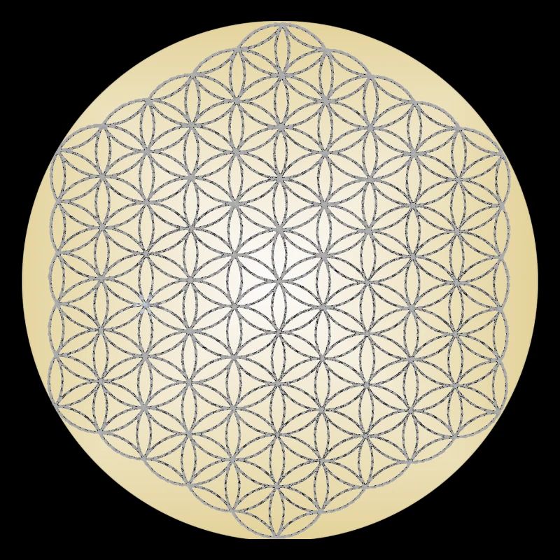 Fleur de Vie Argent - 5ème Dimension - Mandala