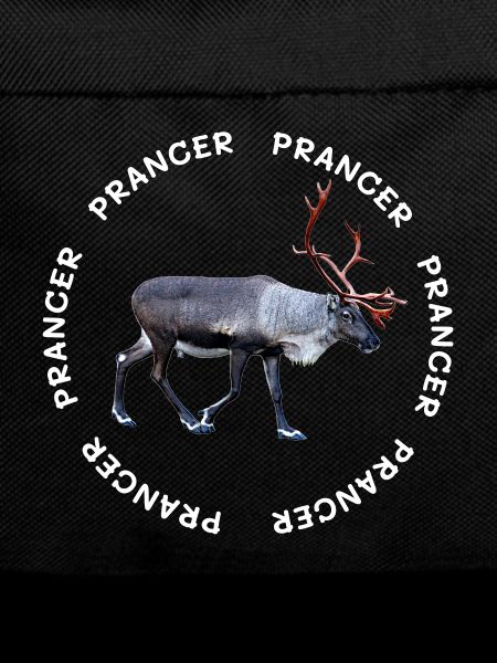 PRANCER
