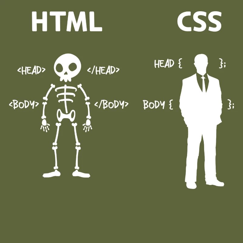 Code Css C++ Php Java Developer Code Scripting