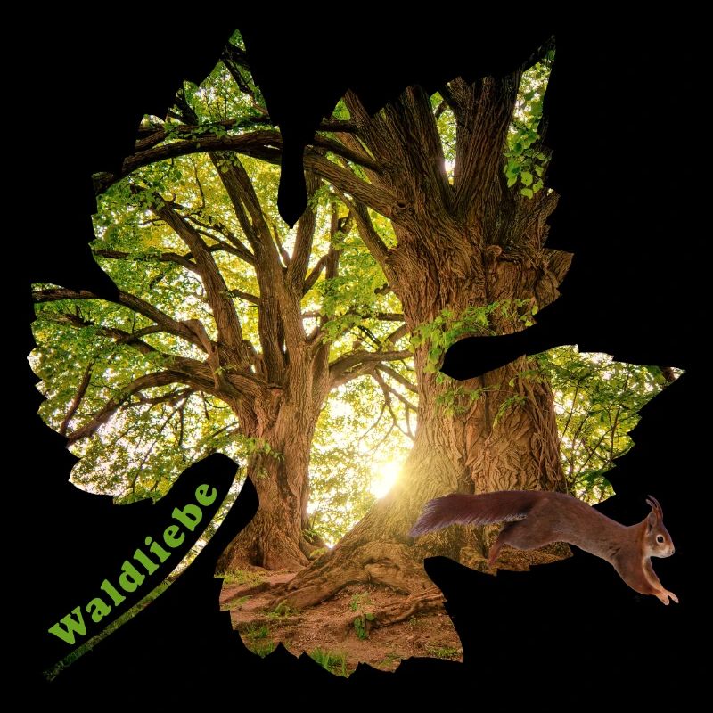 Forêt 25 en feuille avec écureuil