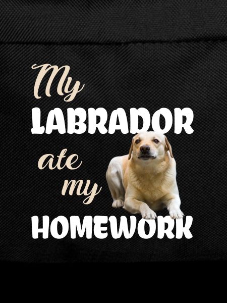 Devoirs du Labrador