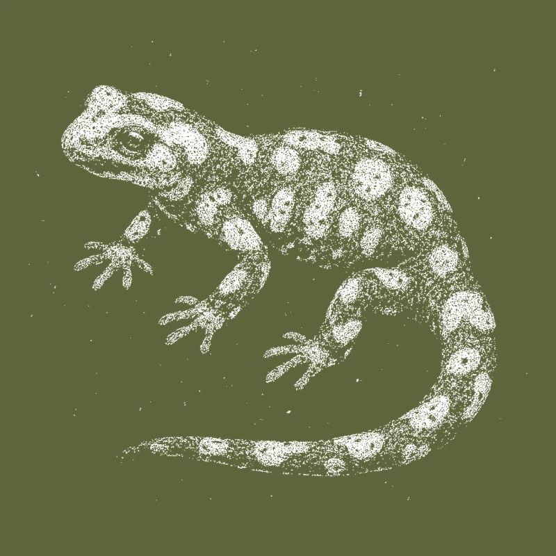 Fire salamander