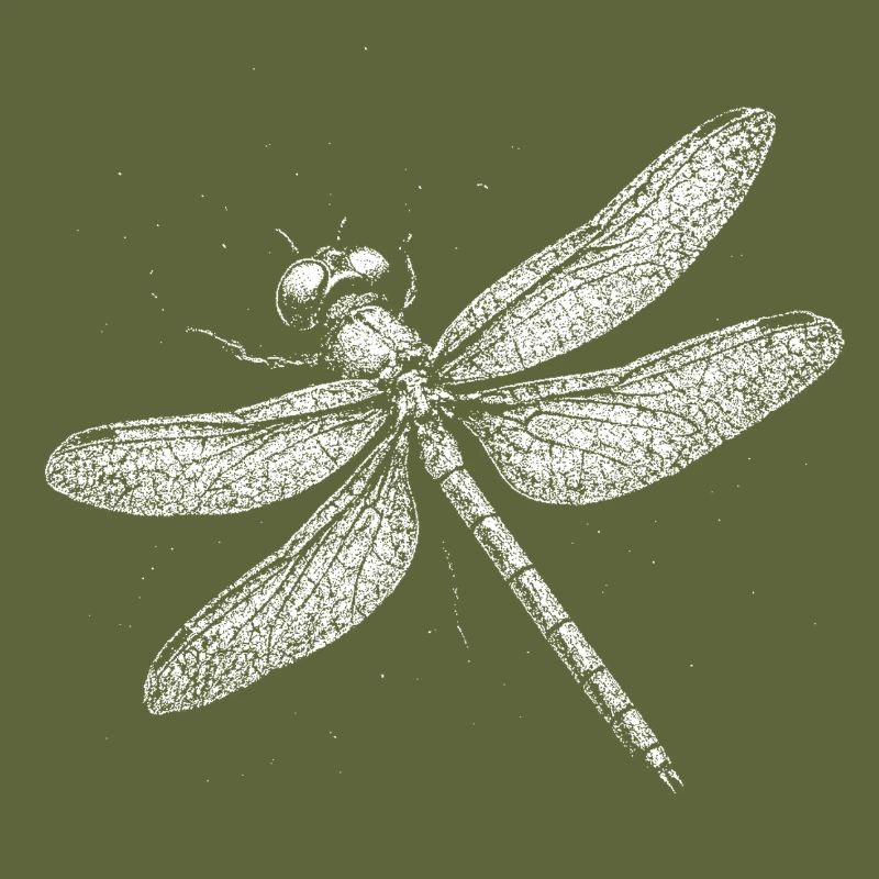 Libellule