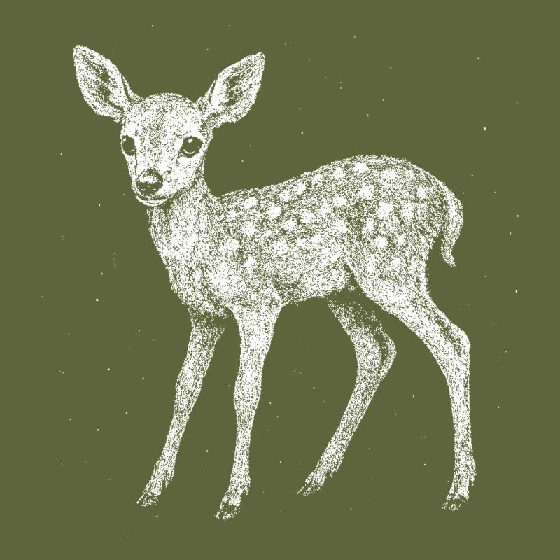 Fawn