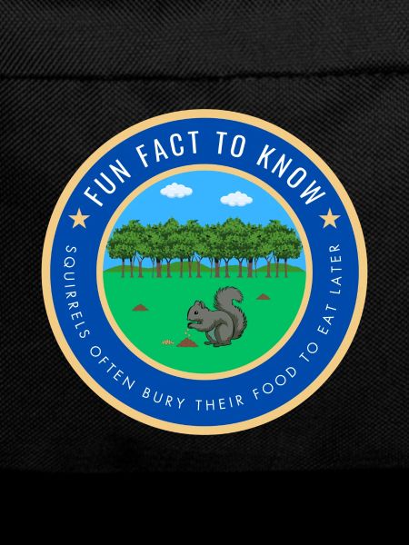 Fun Squirrel Fact