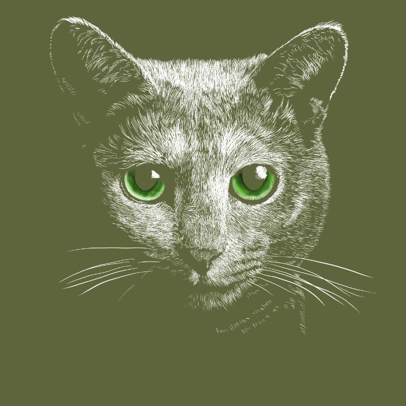 Chat