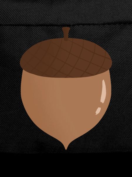 Acorn Illustration