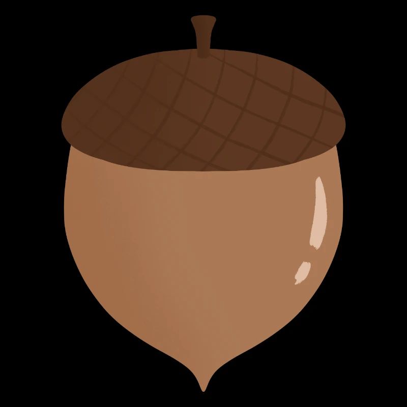 Acorn Illustration