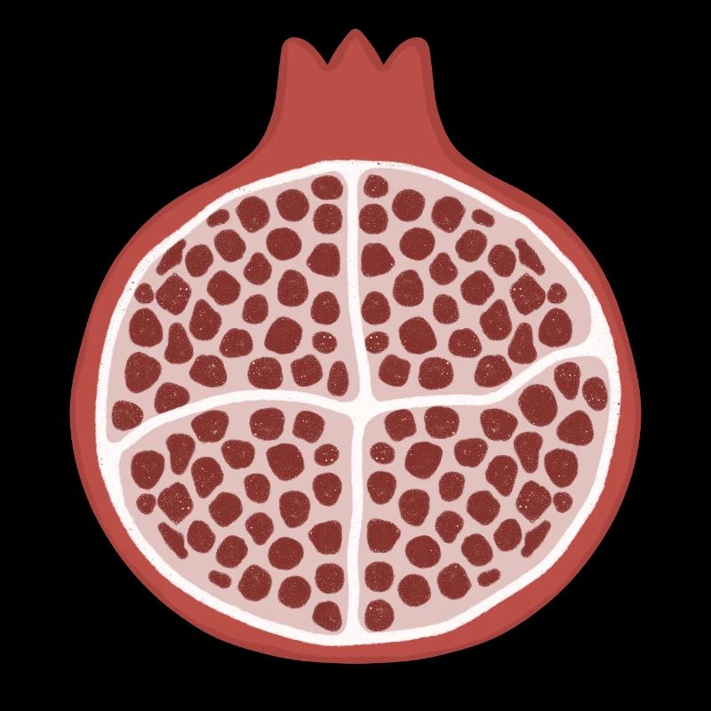 Pomegranate Slice