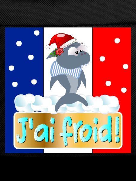FRANCE J'AI FROID REQUINS