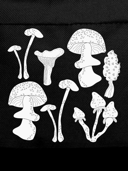 Mushroom picking autumn