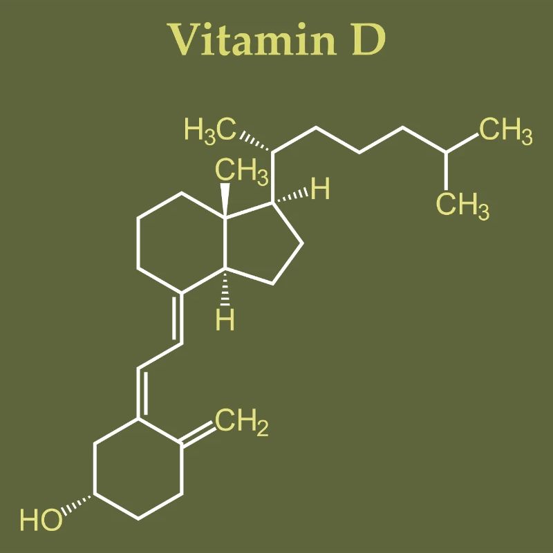 Vitamin D Structure