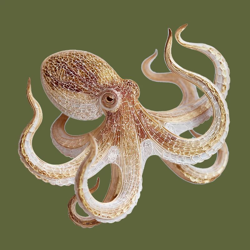 Octopus Net Pattern – Maritime Style