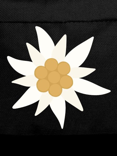 Edelweiss-Blume