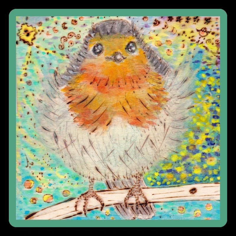 Rotkehlchen /Robin