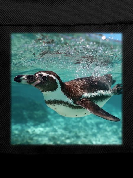 Penguin Underwater Turquoise Ocean Nature Design