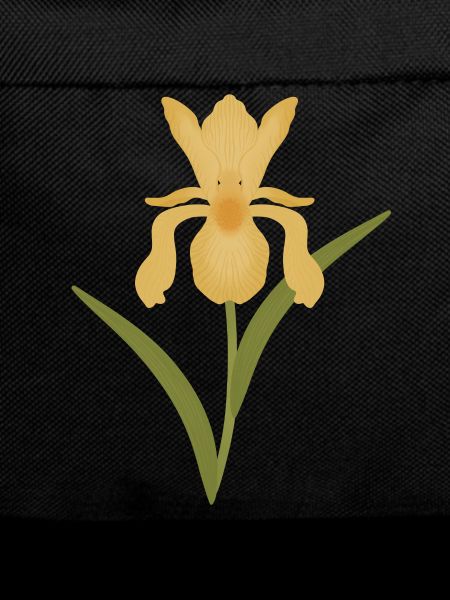 Goldene Irisblüte auf Grün