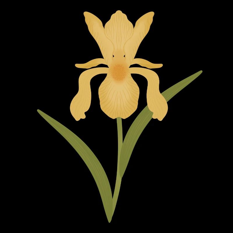 Golden Iris Bloom on Green