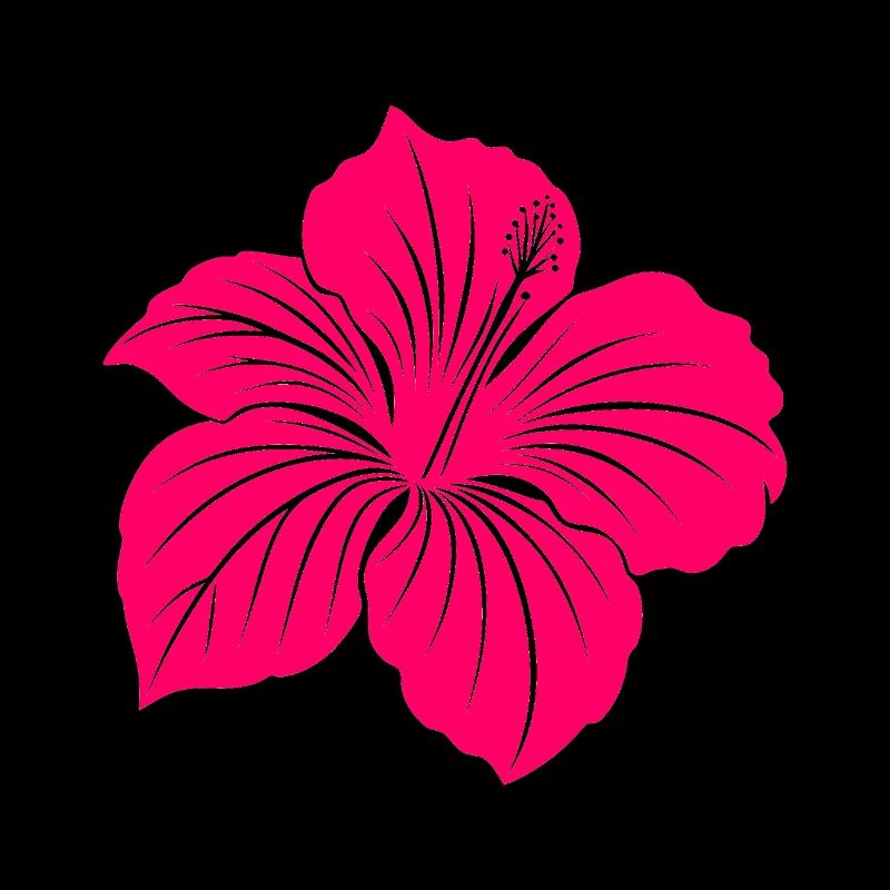 Hibiscus flower