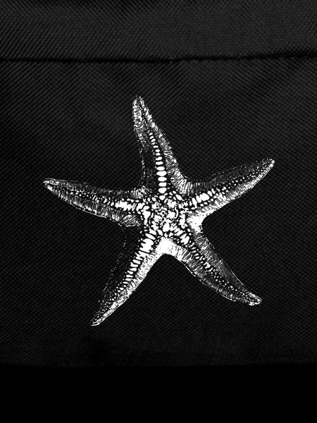 Starfish Silhouette Saltwater Sketch