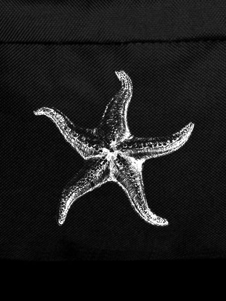 Sea Star Silhouette