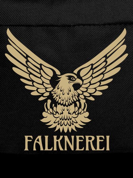 Falconry Falcon Eagle Falconer Falconer