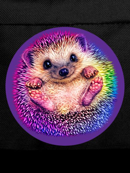 Regenbogen-Igel 