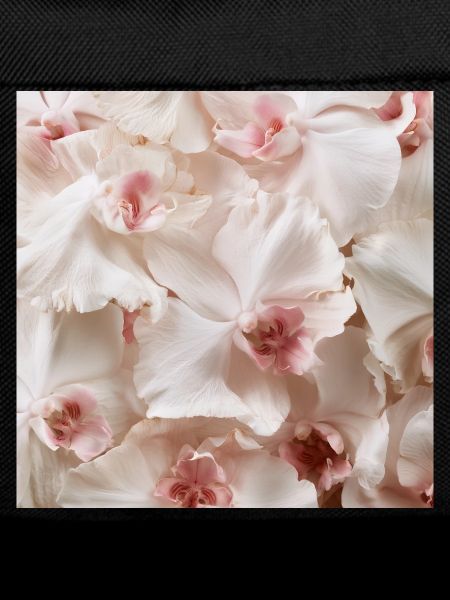Trendige, rosa-weiße Orchidee