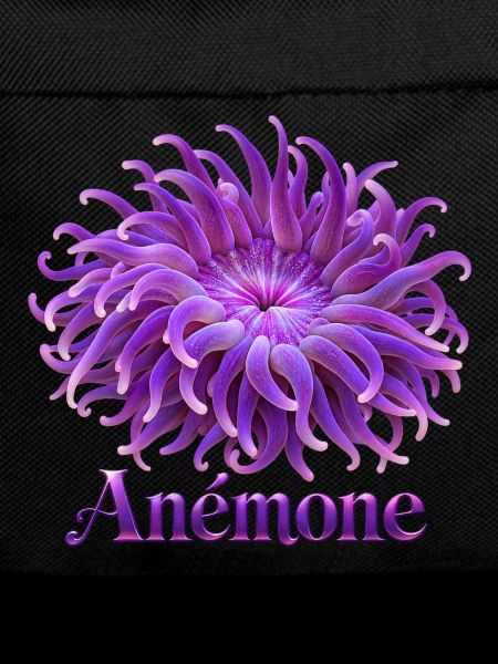 Purpurne Anmona