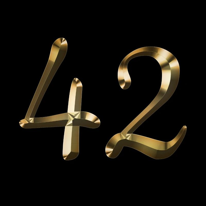 42 ans 42 ans or 42e anniversaire cadeau