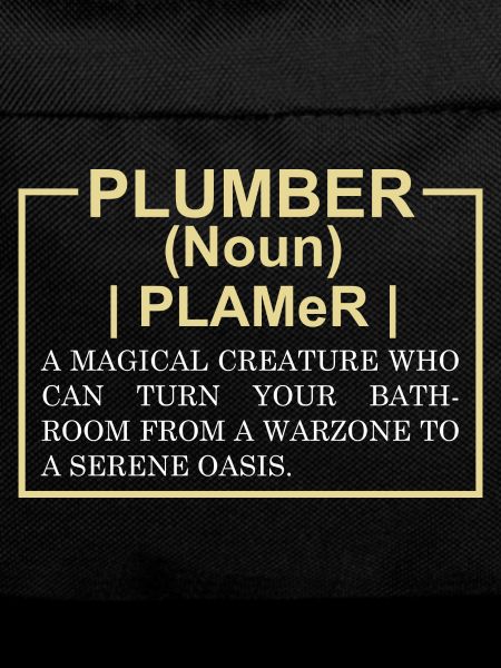 Funny Plumber Dictionary Entry