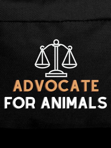 Advocate of animals
