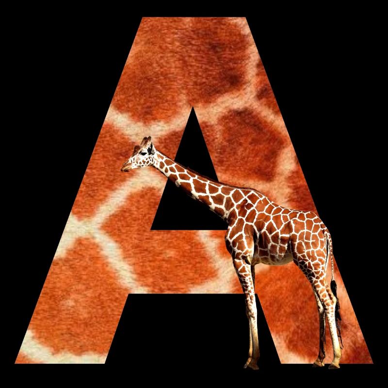 giraffe a