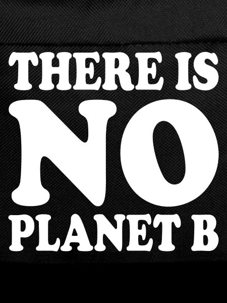There is no planet b