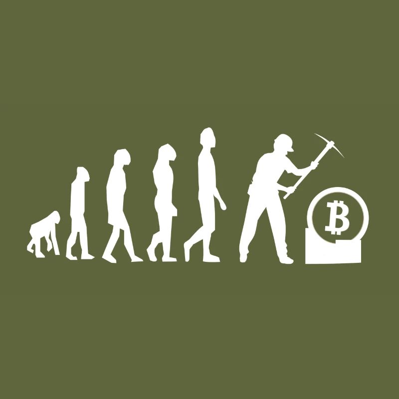 Bitcoin Miner Evolution