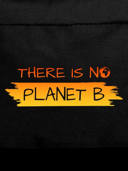 there is no planet b