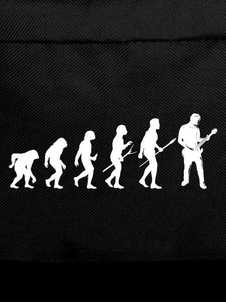 guitar guitare evolution