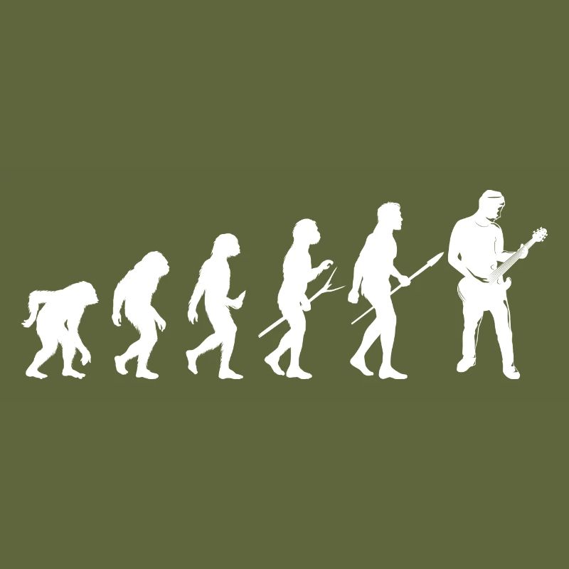 guitar guitar evolution