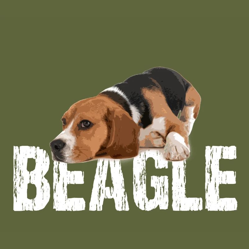 beagle