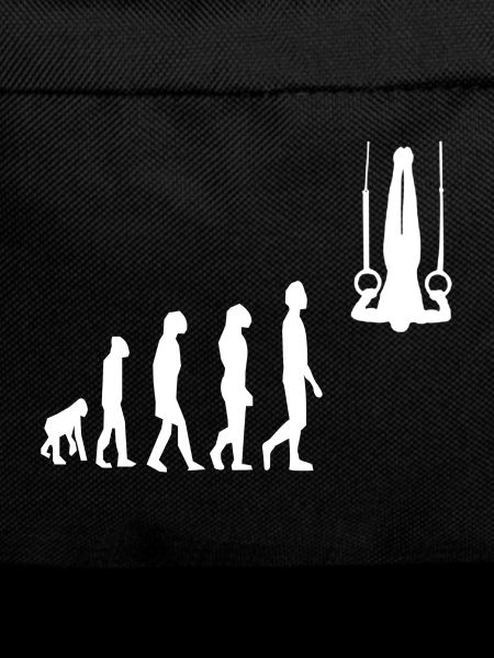 Ring Gymnastics Rings Gymnastics Evolution