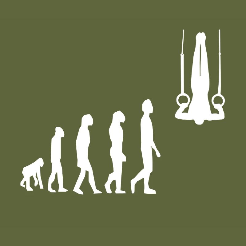 Ring Gymnastics Rings Gymnastics Evolution