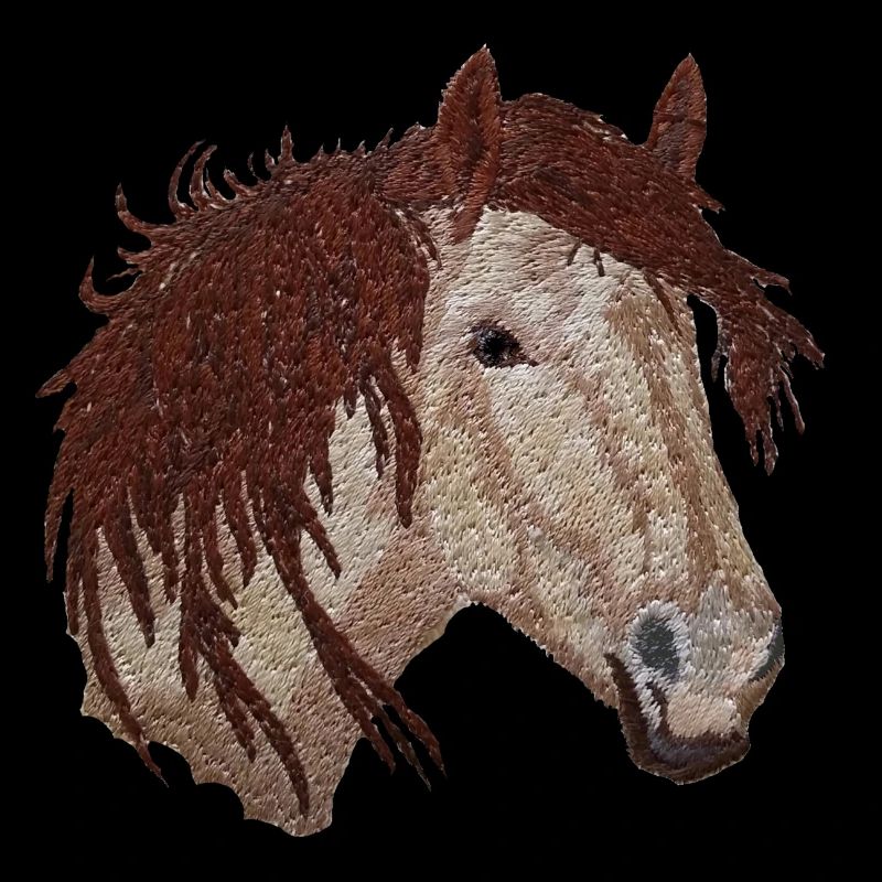 Pferd, Pferdekopf, Pferde