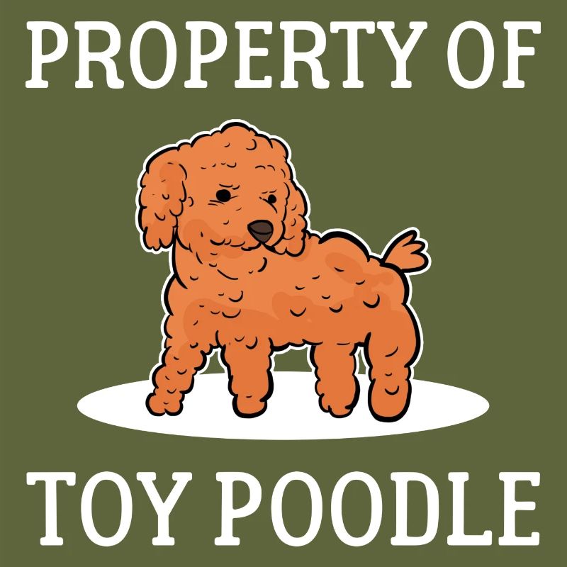 Poodle