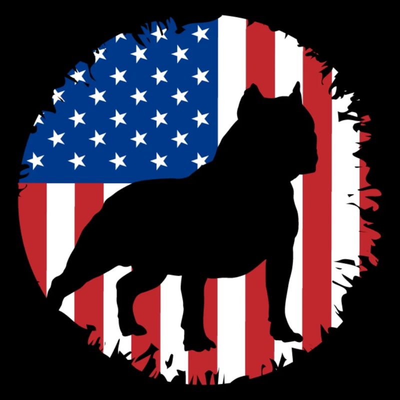 American Bully Pitbull Bulldog Gift